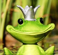 frog (2).jpg