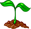 earth.gif earth.gif