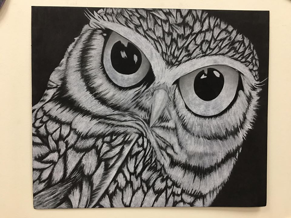owl art.jpg