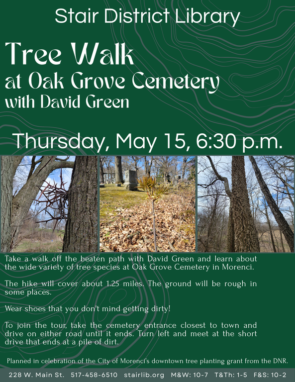 Tree Walk.png