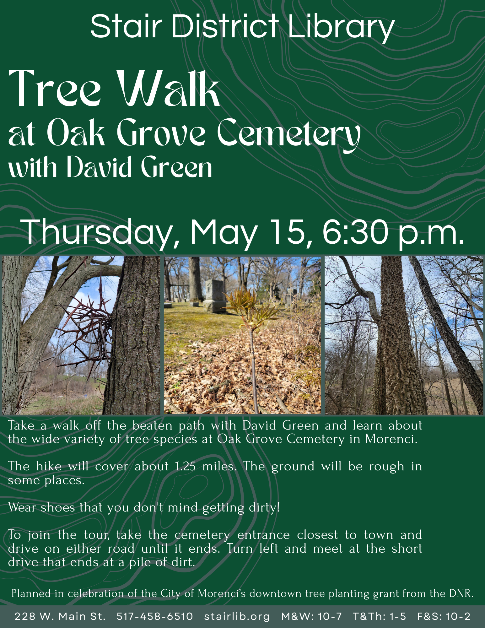 Tree Walk.png